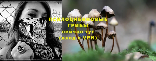 молекула духа Абаза