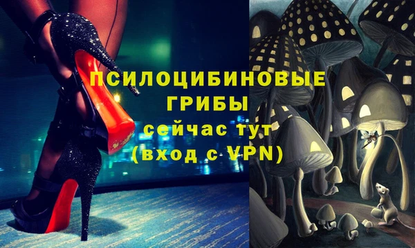 бошки Карпинск