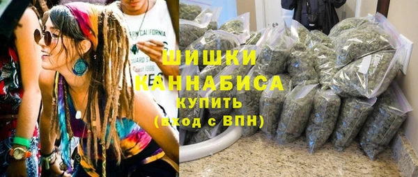 бошки Алексин