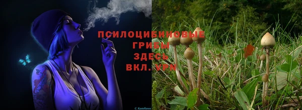 каннабис Абдулино