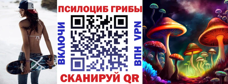 Псилоцибиновые грибы Psilocybe  блэк спрут ССЫЛКА  Никольск  купить наркоту 